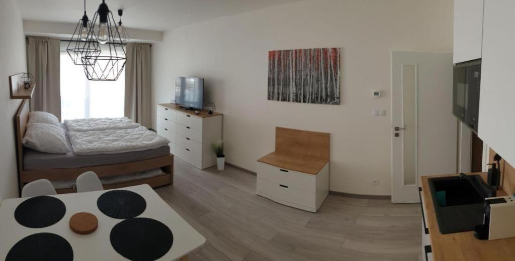 Apartment Korzo 318/3 Ліпно-над-Влтавою Екстер'єр фото